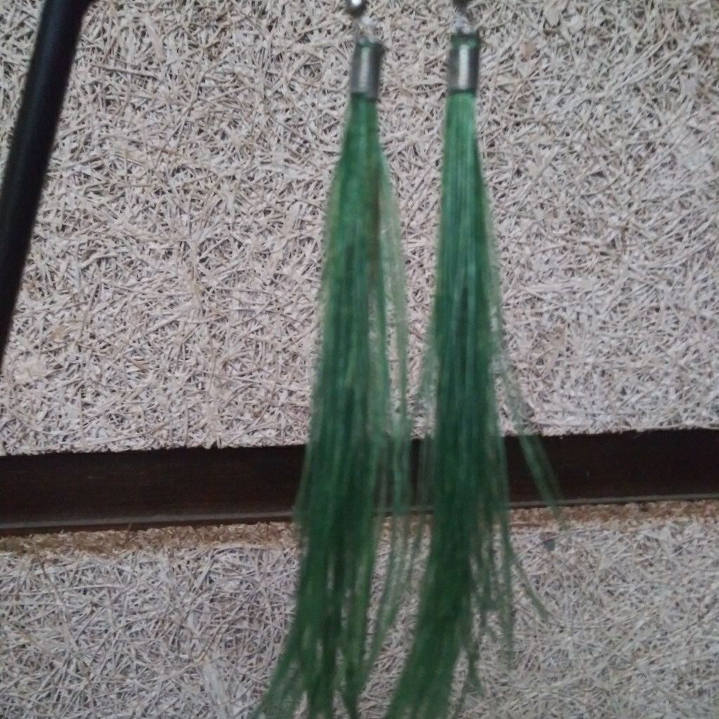 Nwot Earrings 7$